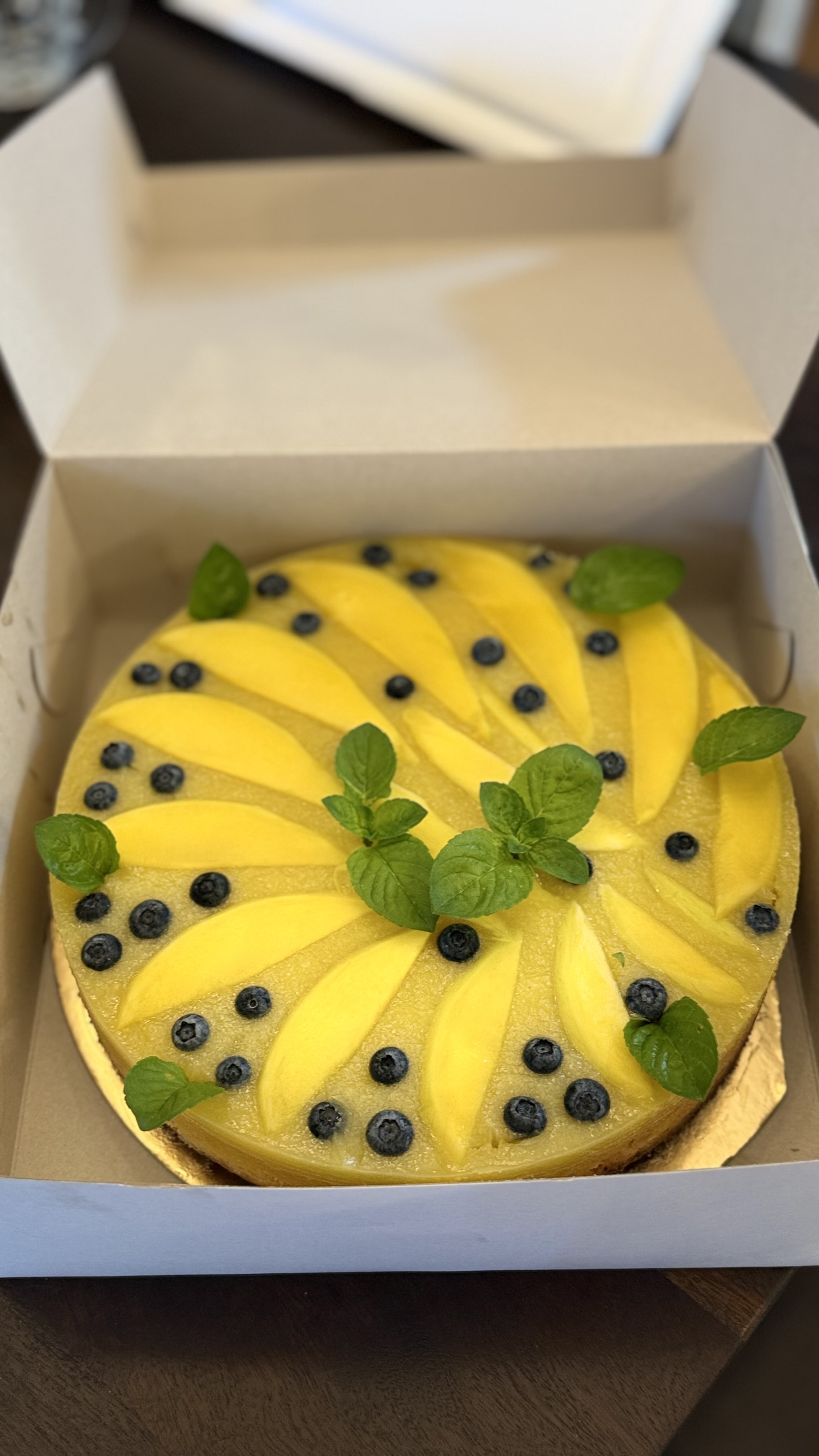 Mangový cheesecake s borůvkami